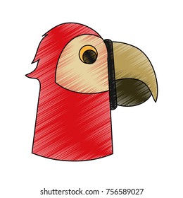 Parrot head cartoon