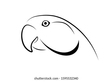 Parrot head simple design. Black linear sketch on white background. Vector illustration