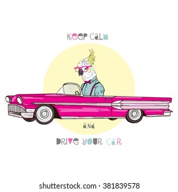 parrot hipster driving vintage car, hand drawn illustration, furry art