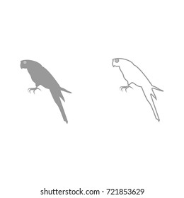 Parrot icon .