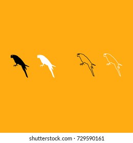 Parrot icon .