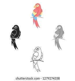 Parrot icon cartoon. Singe animal icon from the big animals cartoon.