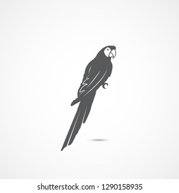 Parrot icon isolated on white background