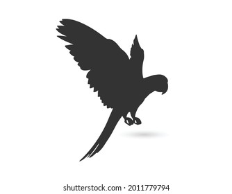 Parrot icon isolated on white background.