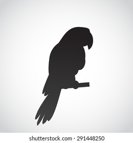 Parrot icon isolated on white background. Vector art.