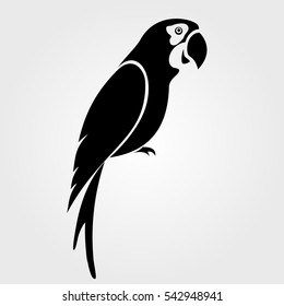 Parrot icon isolated on white background.