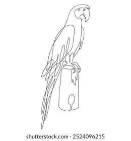 Parrot icon, logo, sign. Parrot single continuous line drawing. Graphic line art for coloring book. Smart funny parrot bird minimalist vector illustration. Flying animal concept for pet club.