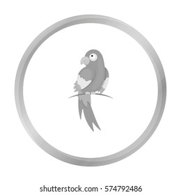 Parrot icon monochrome. Singe animal icon from the big animals monochrome.