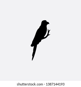 parrot icon sign signifier vector