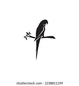Parrot icon vector illustration design