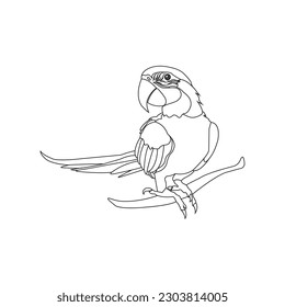 parrot icon vector illustration symbol design