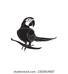 parrot icon vector illustration symbol design
