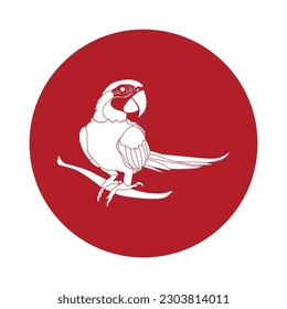parrot icon vector illustration symbol design