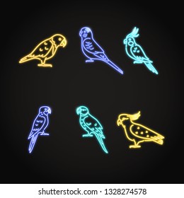 Parrot icons set in glowing neon style