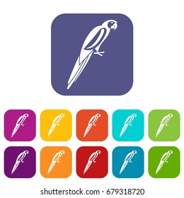 Parrot icons set vector illustration in flat style In colors red, blue, green and other