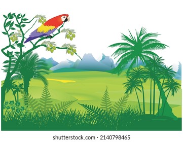 Papagei im Dschungel - Illustration