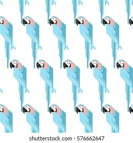 parrot  illustration