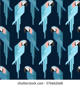 parrot  illustration