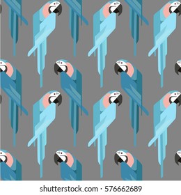 parrot  illustration