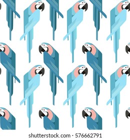 parrot  illustration