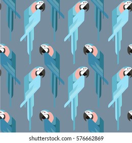 parrot  illustration