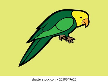 Parrot illustration with some background bird logo template