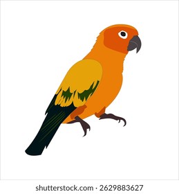 parrot illustration with vector design