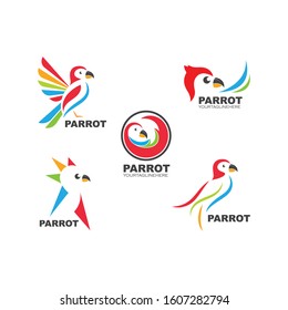 parrot illustration vector icon design template