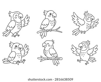 Parrot Illustrations Black 