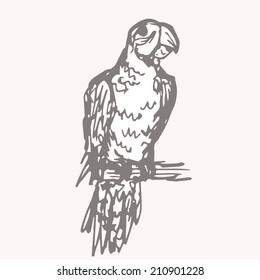 parrot ink