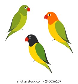 Parrot. Isolated birds on white background