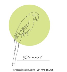 Parrot isolated hand drawn vector llustration