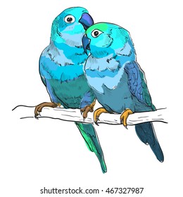 Parrot isolated hand drawn vector llustration