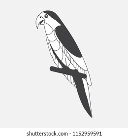 Parrot isolated illustratin. Vector.
