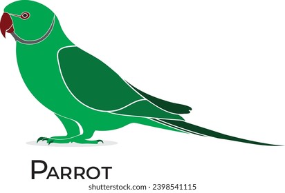  parrot isolated on white background, green 