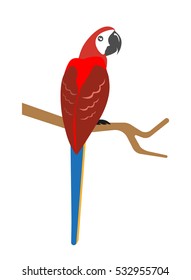 A parrot isolated on white background. Vector illustration