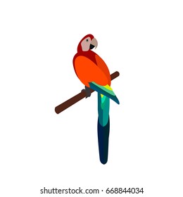 parrot isolated white tropical cartoon icons exotic