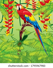 Parrot jungle bird wildlife tropical