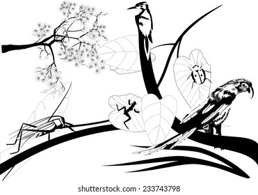 Parrot and kingfisher on tree branch isolated on white