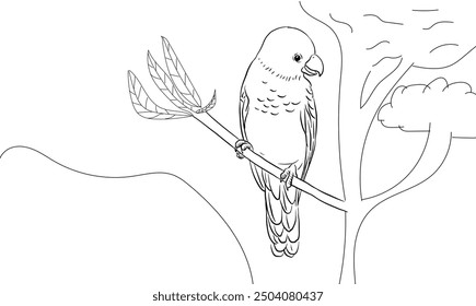 Parrot line art for kids coloring book