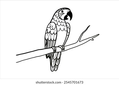 Parrot Line Art Vector Illustration