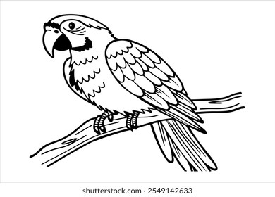 Parrot Line Art Vector Illustration