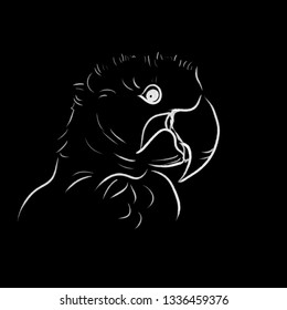 parrot line draw illustration