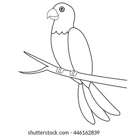 parrot line icon