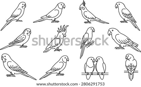 Parrot linear icons, exotic birds line art drawings, pet budgerigar, cockatiel, lovebirds, cockatoo, parakeet, tropical avian wildlife sketches, outline design elements