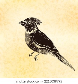 Parrot in linocut retro style, vintage silhouette of bird on old paper