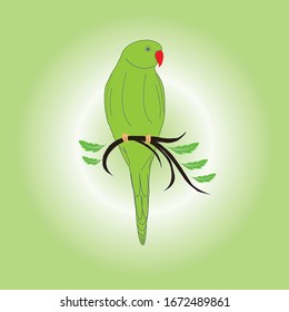 Parrot Logo design. Parrot logo. Birds logo.