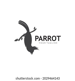 Parrot Logo Design Vector template