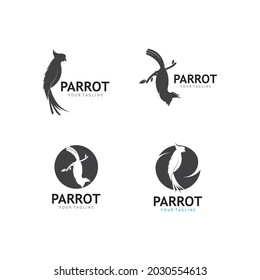 Parrot Logo Design Vector template