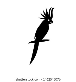 parrot logo icon design vector illlustration